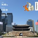 순환로 | 경복궁 - 시청 - 남산 북측순환로 14km 러닝 후기 [24주 훈련 #15]