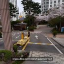 슈퍼마켓자연숲 - 나주시 강변1길 33-19 | 슈퍼마켓자연숲