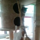 호텔 코코 이미지