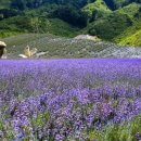 윤정농장 이미지