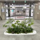 한국전력강서양천지사 | 한국전력공사 강서양천지사 로비 미디화단 시공 사례 | 관리 쉬운 인조식물 실내조경