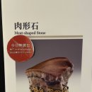 왕십리역지하2층환승통로편의점 | 나 혼자 타이베이 3박4일 여행 (예정 밖이었던 4일차)