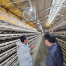 경남축사 이미지