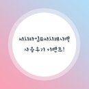 써치타임 이미지