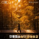 남산예장공영주차장 화장실 | 서울의 숨은 단풍명소, 힐링 스팟, 남산 하늘숲길 후기, 주차장, 꿀팁