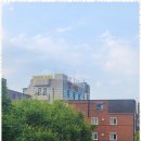 행정사사무소진정 이미지