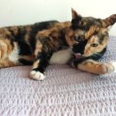 우리그루밍 이미지