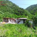 북면주유소 이미지