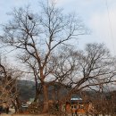 사곡1지 이미지