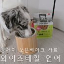 호키소프트 | 묽은 변보는 강아지 사료추천 오븐베이크 공법의 그레인프리 소프트 사료 와이즈테일 연어