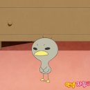 꼬꼬아가