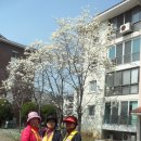 서원재로 이미지