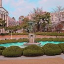 경희대외대복사 이미지