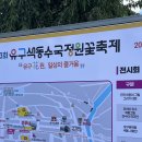 공주-06 | 06/16 공주 유구색동수국축제 후기ㅣ유구색동공원 후기