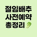 괴산G마트 | 절임배추 사전예약, 구매팁, kg당 가격정보 총정리
