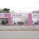 심지 세천 네이버블로그