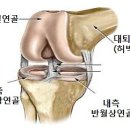 법무법인서호 이미지