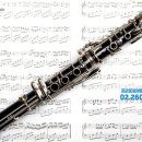 클라리넷 집중레슨 이미지