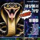 연구소더함
