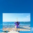 브루스인터내셔날 이미지