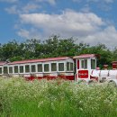 왕송호수공원 이미지