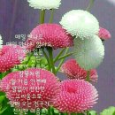 오늘은 이미지