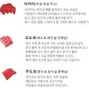 유참치