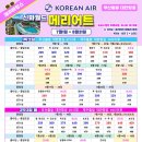 신화항공여행사