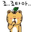 가온오토캠핑장 이미지