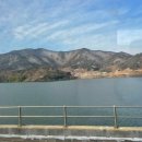 진임쌤네일 이미지