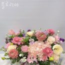 플로리아 이미지