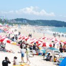 대천해수욕장 이미지