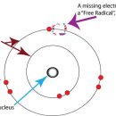 Difference Between Free Radical and Ion 이미지