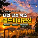 지에스25 침산원룸점 | 태안 골든비치펜션 212호 후기｜신두리해수욕장 오션뷰·무제한 바베큐