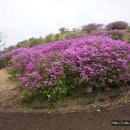 2019. 5. 12.(일) 황매산(경남 산청) 이미지