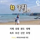 경희대성훈태권도장 이미지