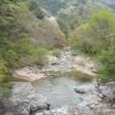 참사랑나눔동행 이미지