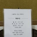 편백효소테라피 | [경주] 노블레스 효소테라피 ㅣ내돈내산 후기 ㅣ 진짜 약초찜질로 노폐물 out