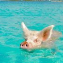 바다의왕자 이미지