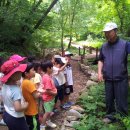 소양초병설유치원 이미지