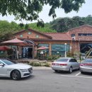 다솜차반 이미지