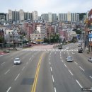 제일사약국 이미지