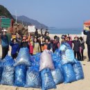 강동면사무소 이미지