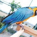 해원목장 이미지