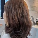 댕댕이 커트방 | 부스스한 머릿결 탈출 성공, 실패 없는 미용실 선택 기준과 리얼 후기