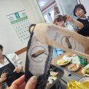 요거프레소함평점