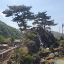 이삐다방 이미지