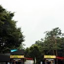 용인자연휴양림 | 용인 자연휴양림 예약 방법 밤티골 후기