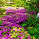 구미공단종합시장 이미지