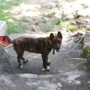 살구나무펜션민박 이미지